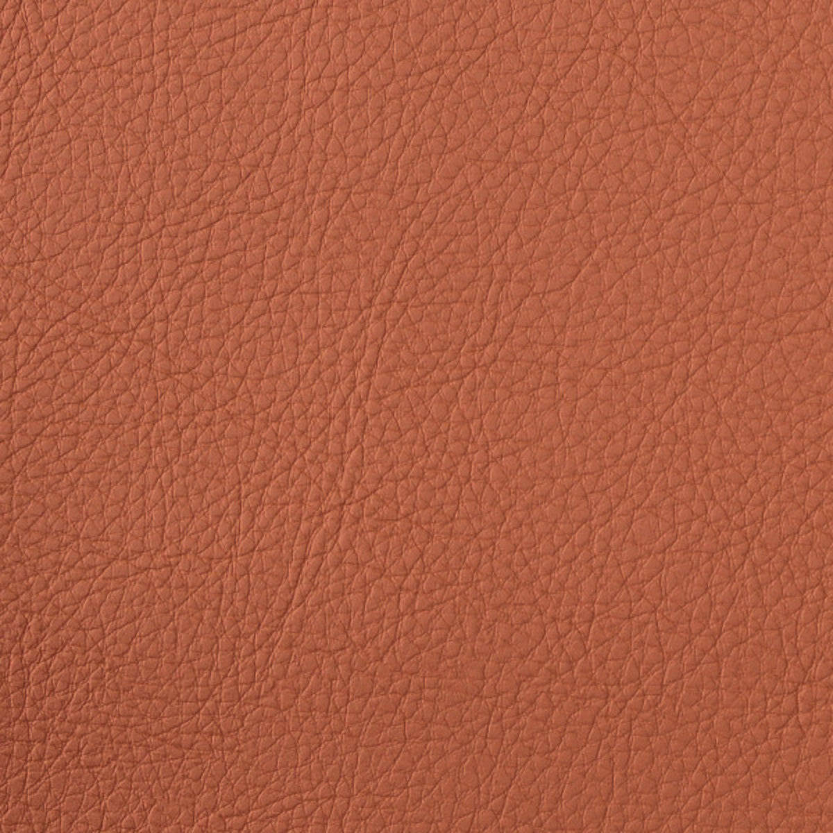 F4995