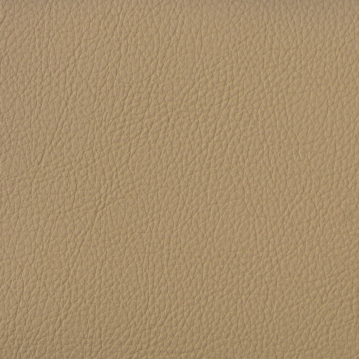 Greenhouse F5028  | Atlanta Fabrics