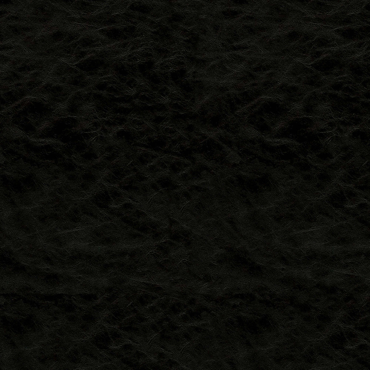 Greenhouse F5069  | Atlanta Fabrics