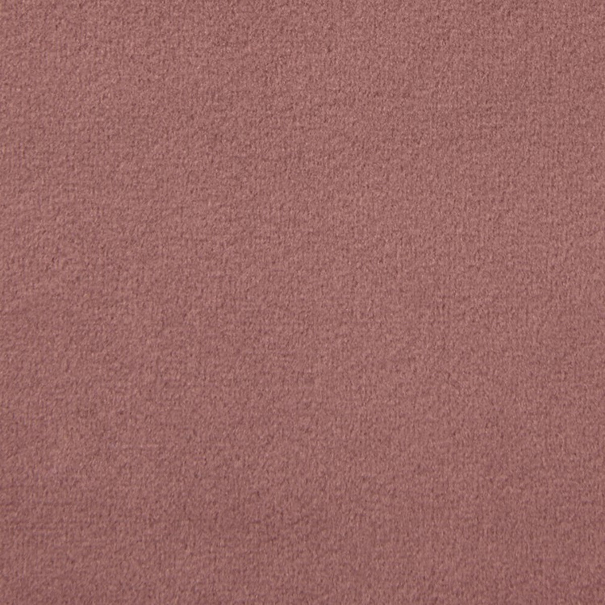 Greenhouse F5348  | Atlanta Fabrics