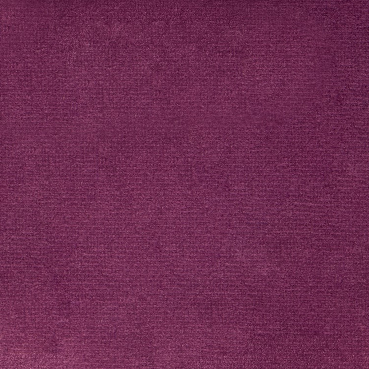Greenhouse F5349  | Atlanta Fabrics
