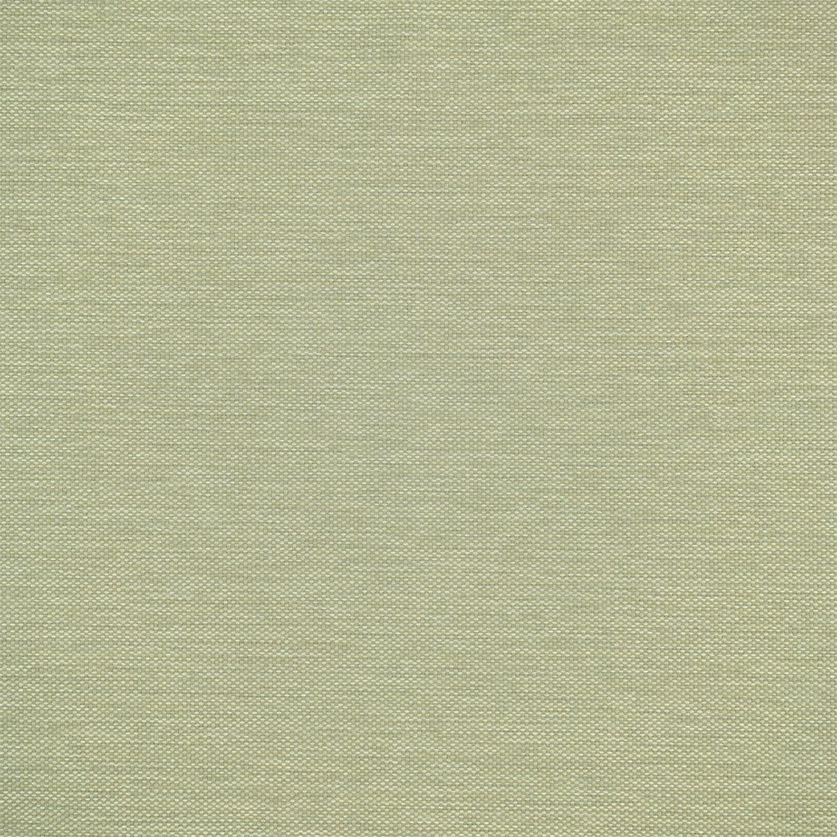 Greenhouse F5455  | Atlanta Fabrics