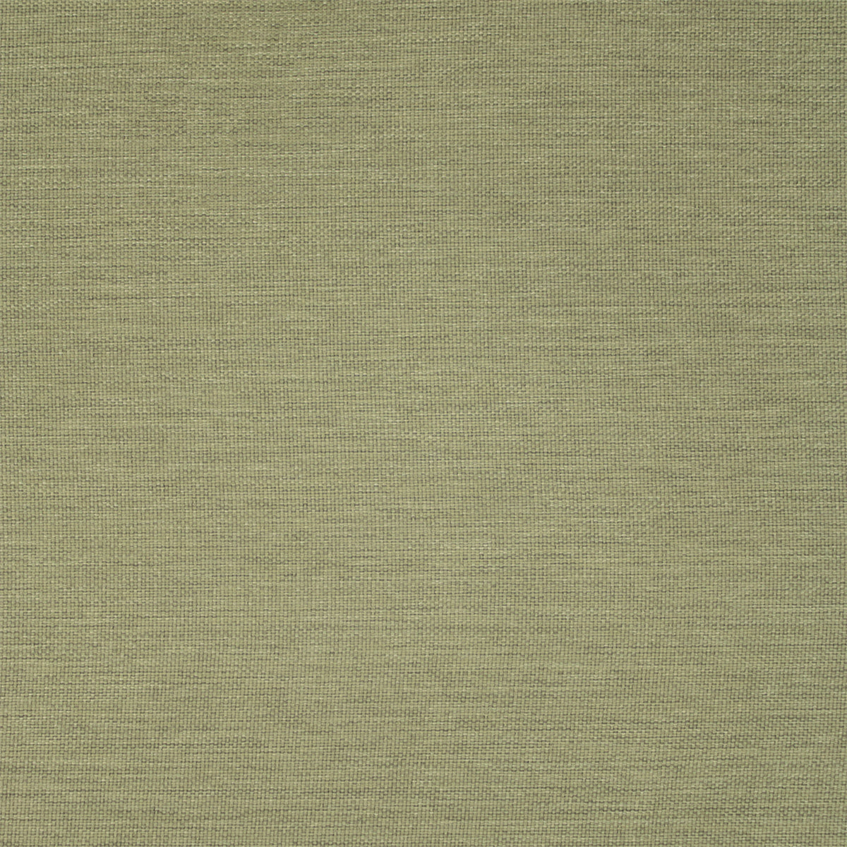 Greenhouse F5458  | Atlanta Fabrics