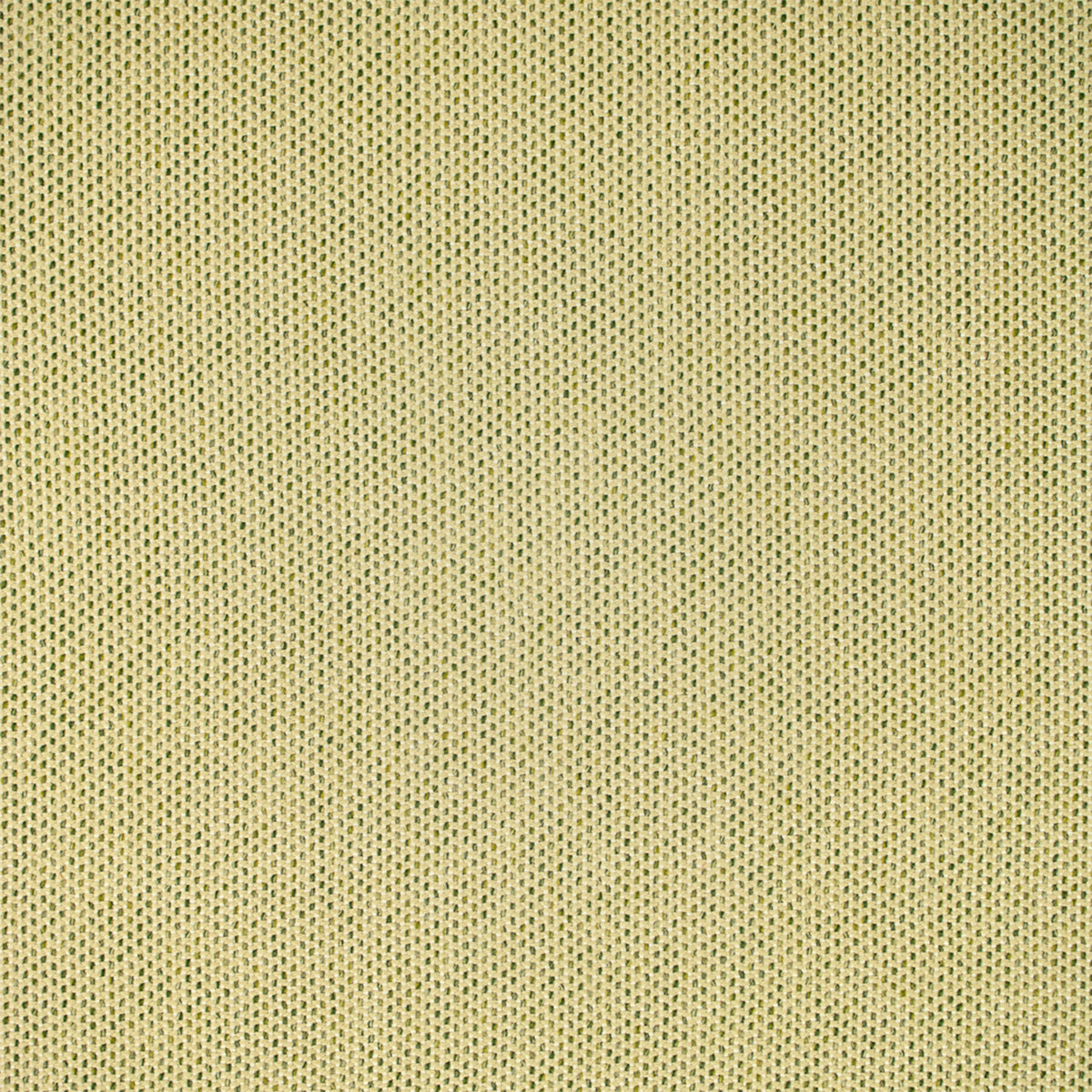 Greenhouse F5464  | Atlanta Fabrics