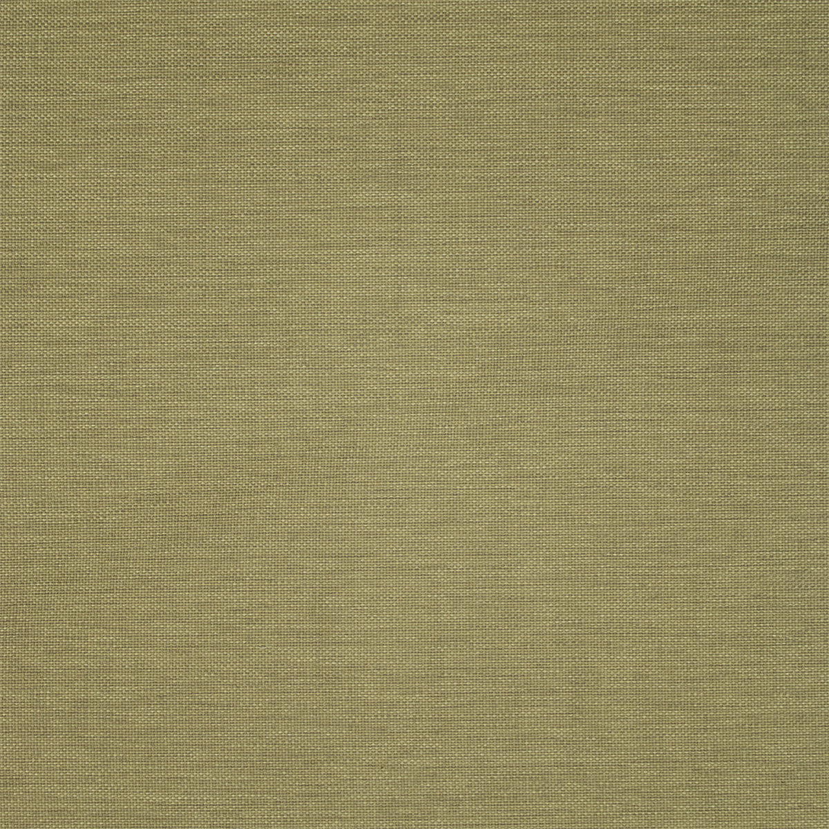 Greenhouse F5467  | Atlanta Fabrics
