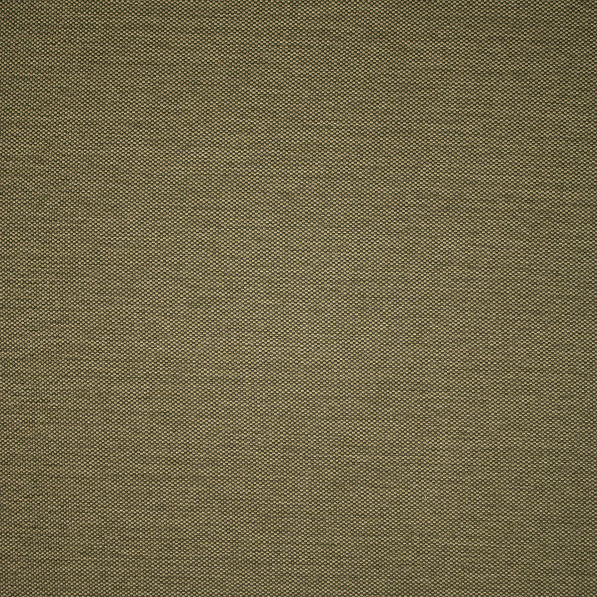 Greenhouse F5469  | Atlanta Fabrics