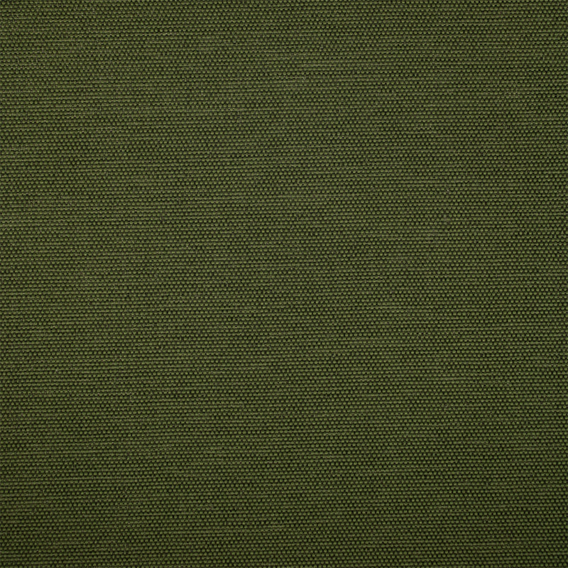 Greenhouse F5471 Fabric | Atlanta Fabrics