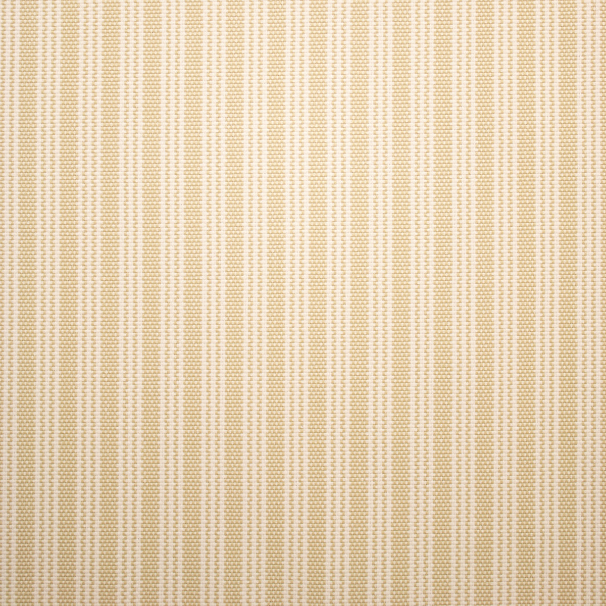 Greenhouse F5520 Fabric | Atlanta Fabrics