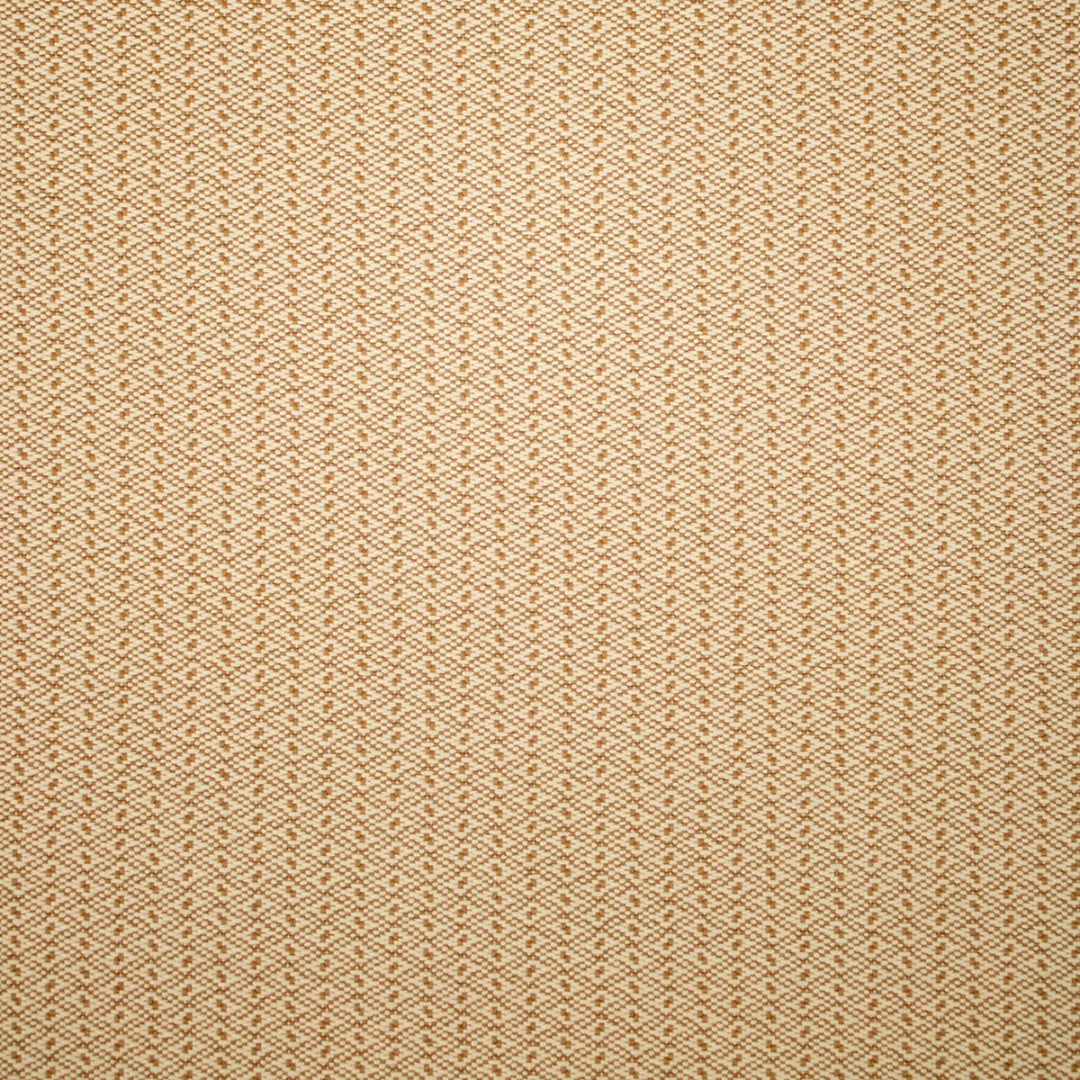 Greenhouse F5525 Fabric | Atlanta Fabrics