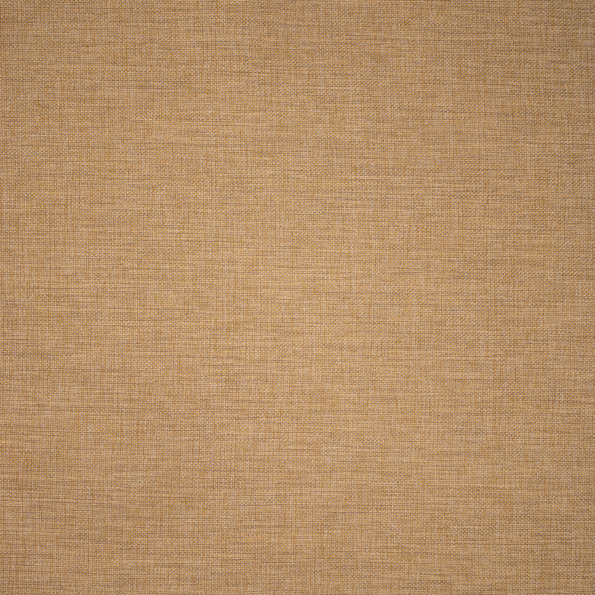 Greenhouse F5530  | Atlanta Fabrics