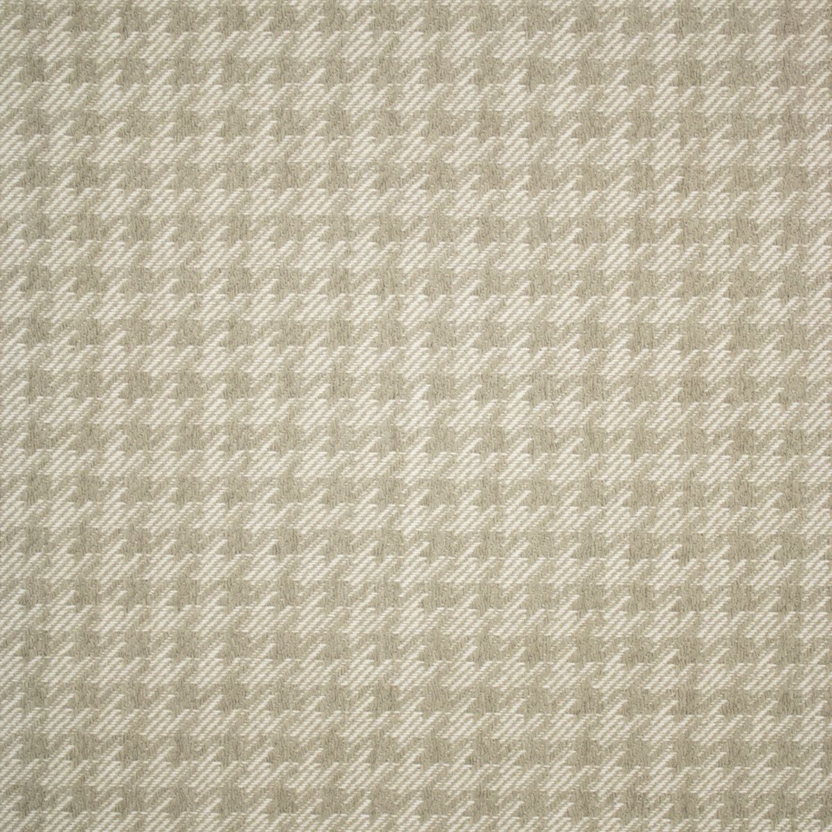 Greenhouse F5541  | Atlanta Fabrics