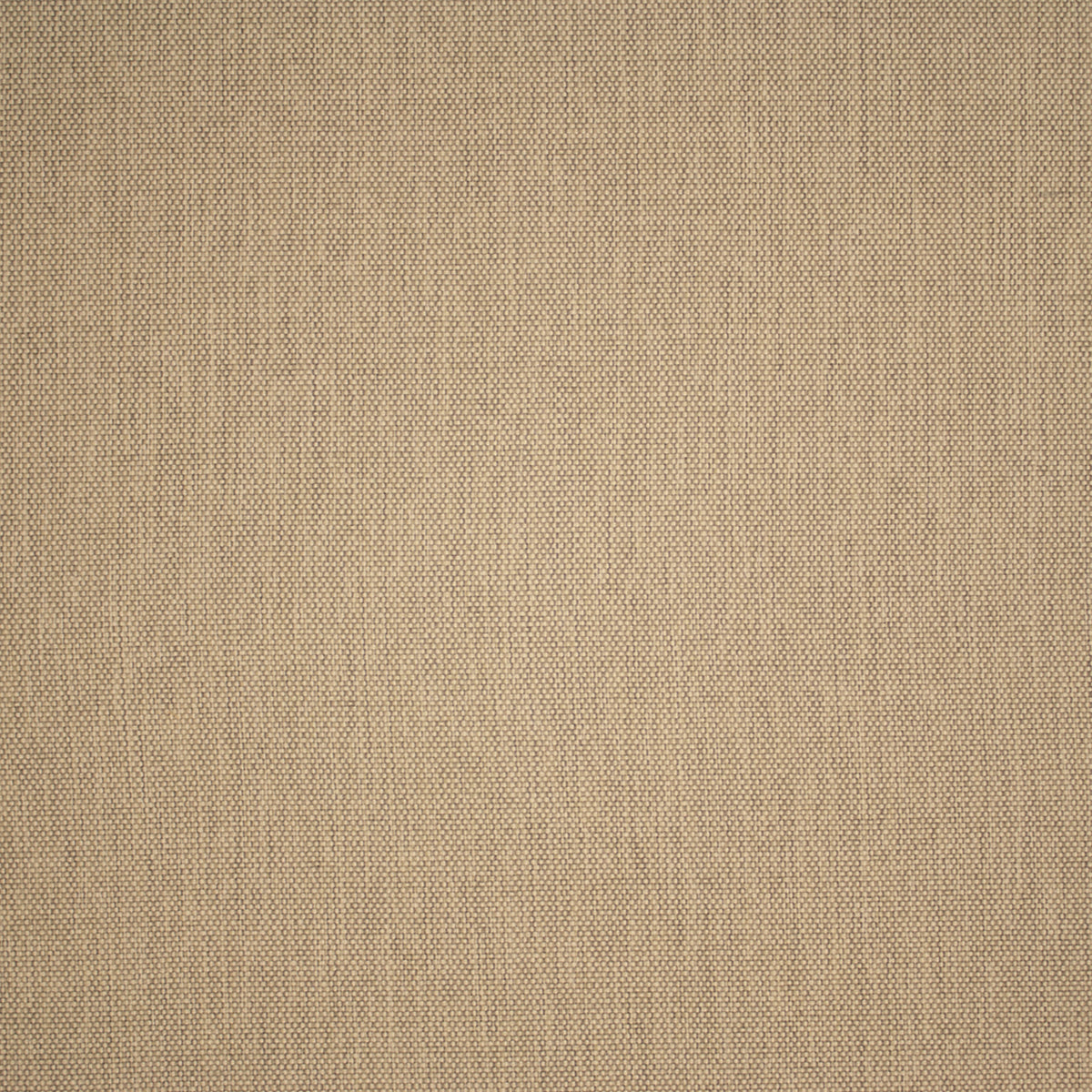 Greenhouse F5544  | Atlanta Fabrics