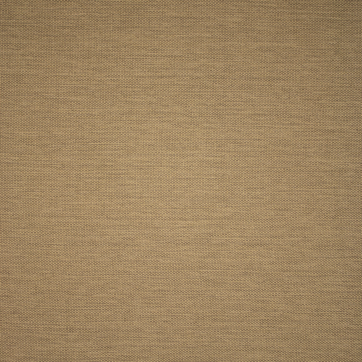 Greenhouse F5548  | Atlanta Fabrics