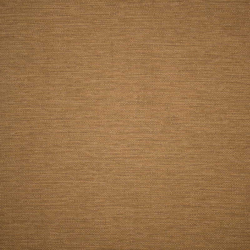 Greenhouse F5556  | Atlanta Fabrics