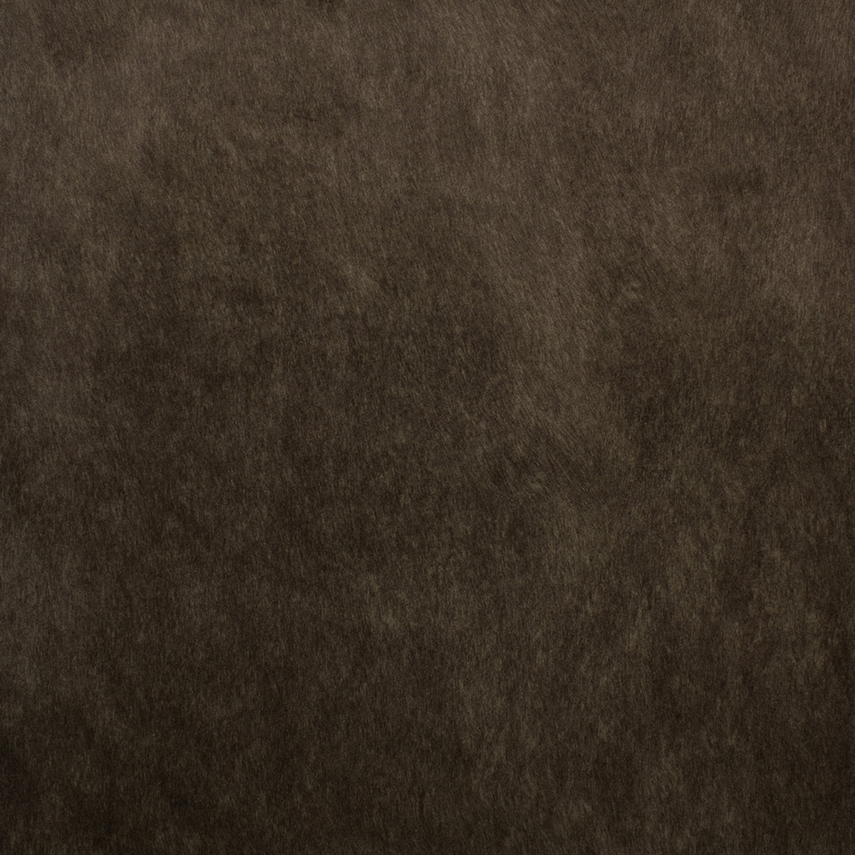 Greenhouse F5572 Fabric | Atlanta Fabrics