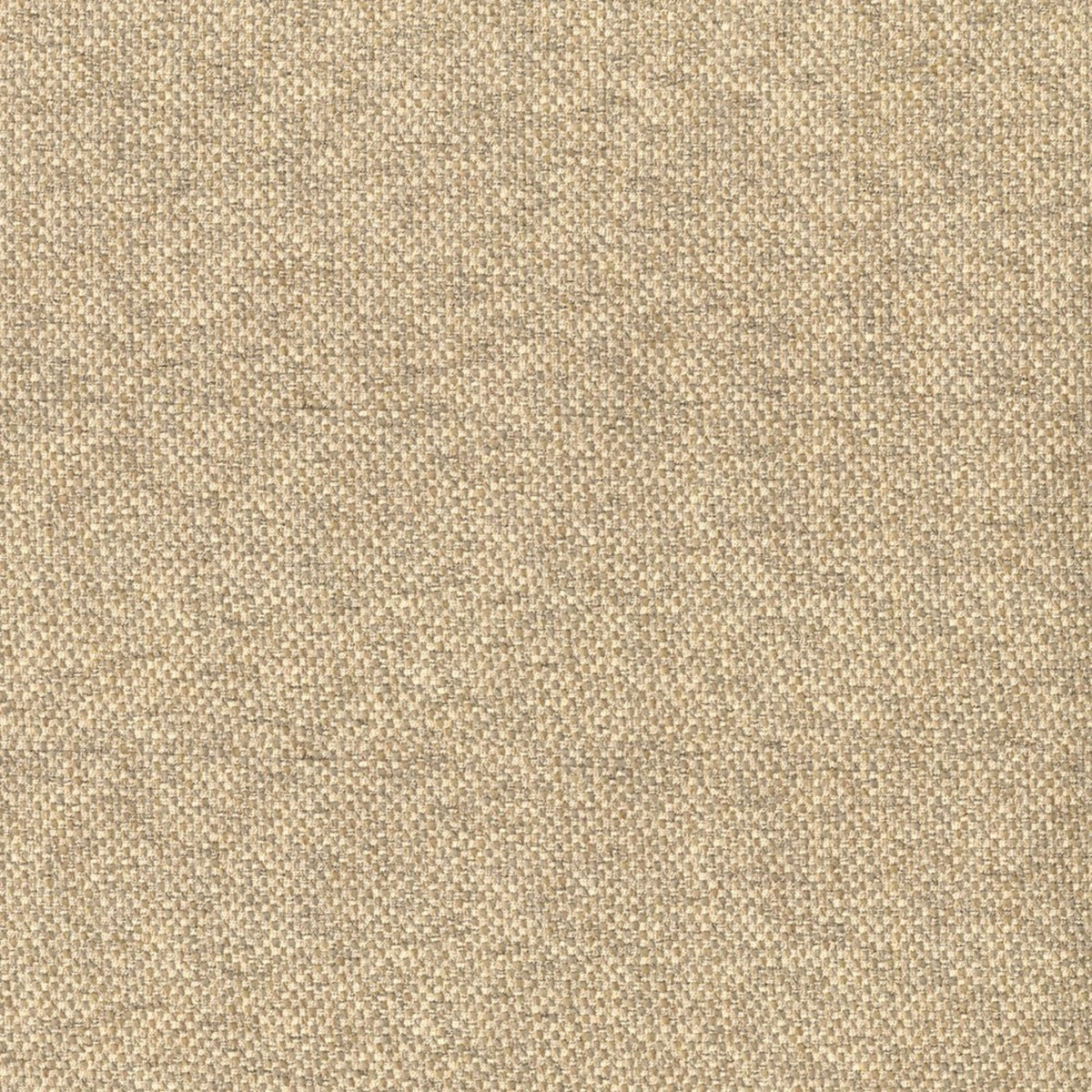 Greenhouse F5791  | Atlanta Fabrics