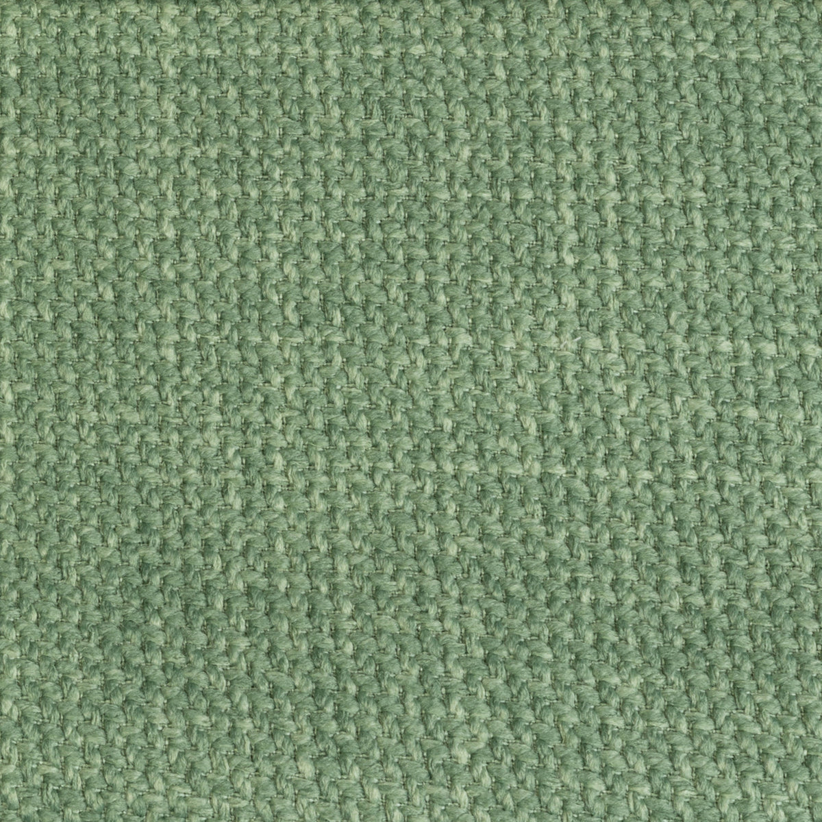 F6693 GRASS