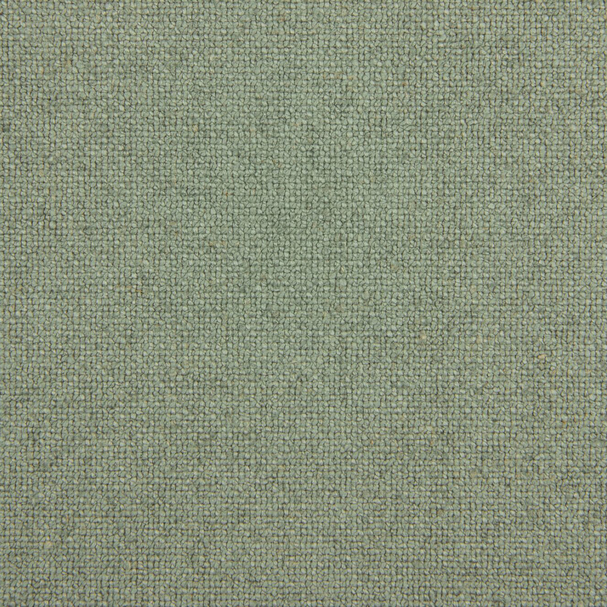 F6696 SAGE
