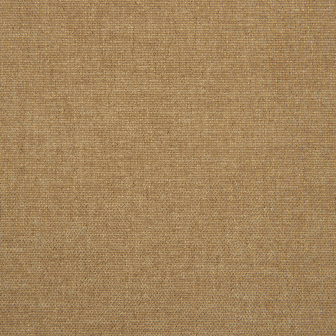 F6723 PEANUT