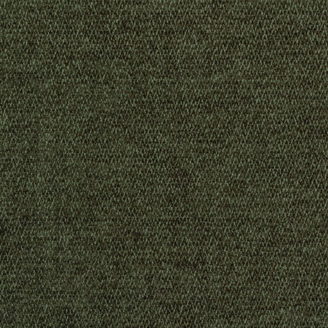 F6727 ARUGULA