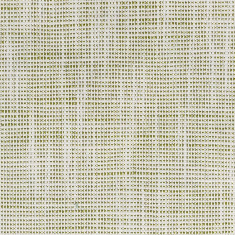 STOUT FAME 3 SEEDLING Fabric | Atlanta Fabrics