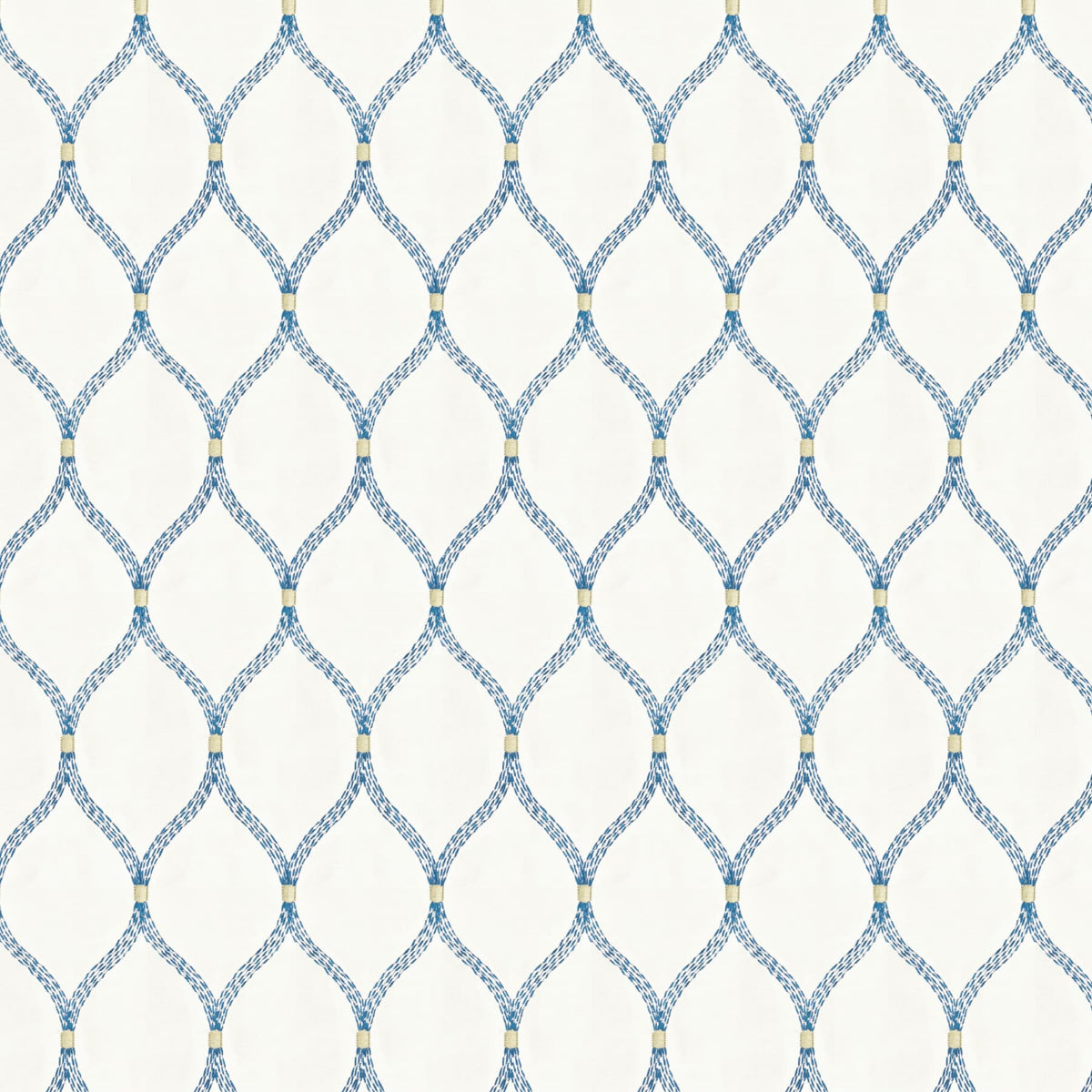 FATHOM 2 BLUEBIRD