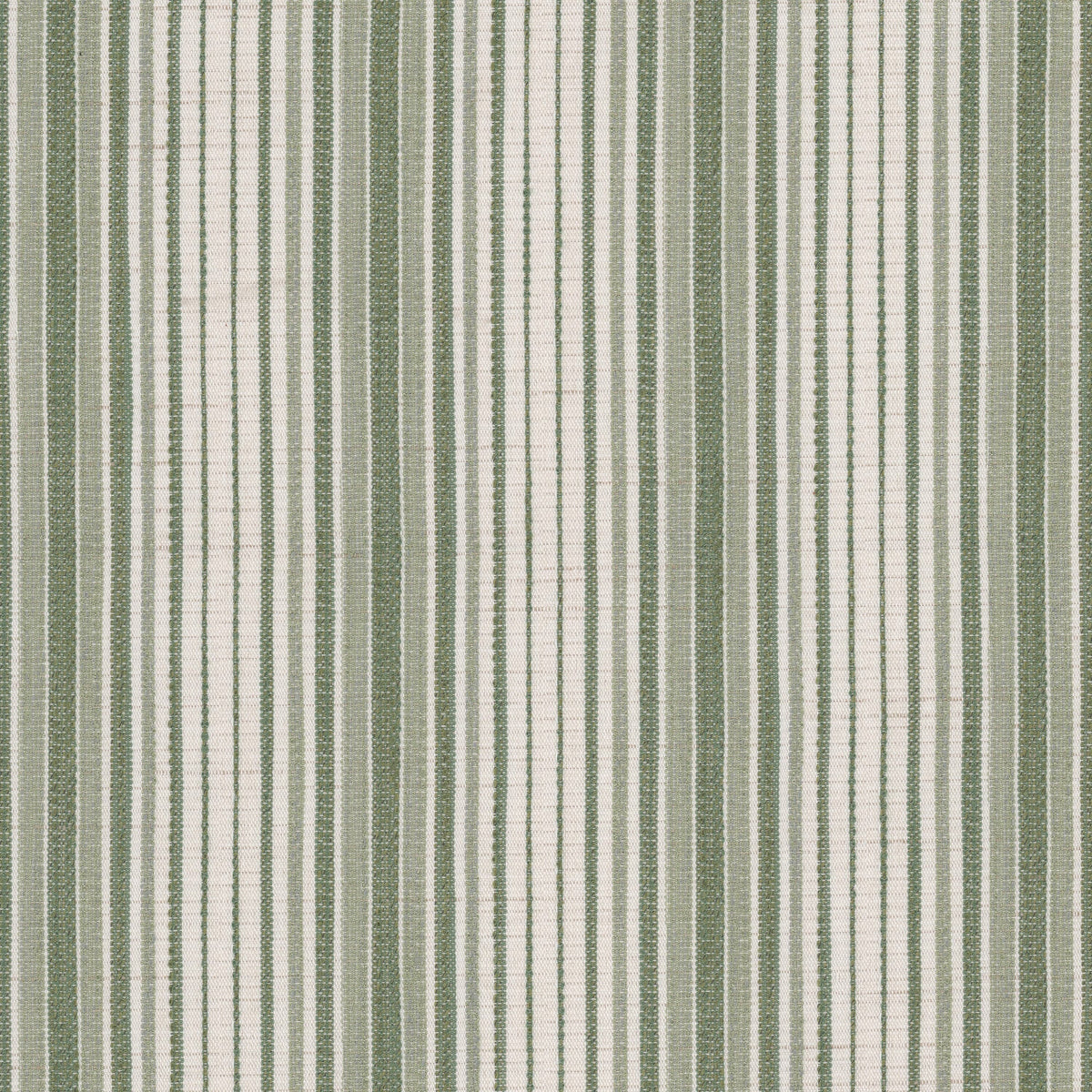 FELDMAN 3 FERN