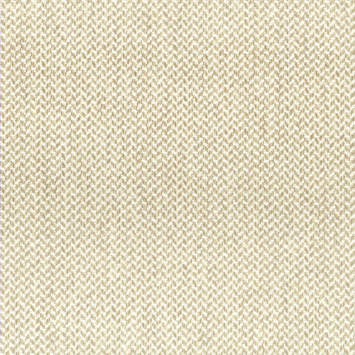 FENWAY 1 PARCHMENT