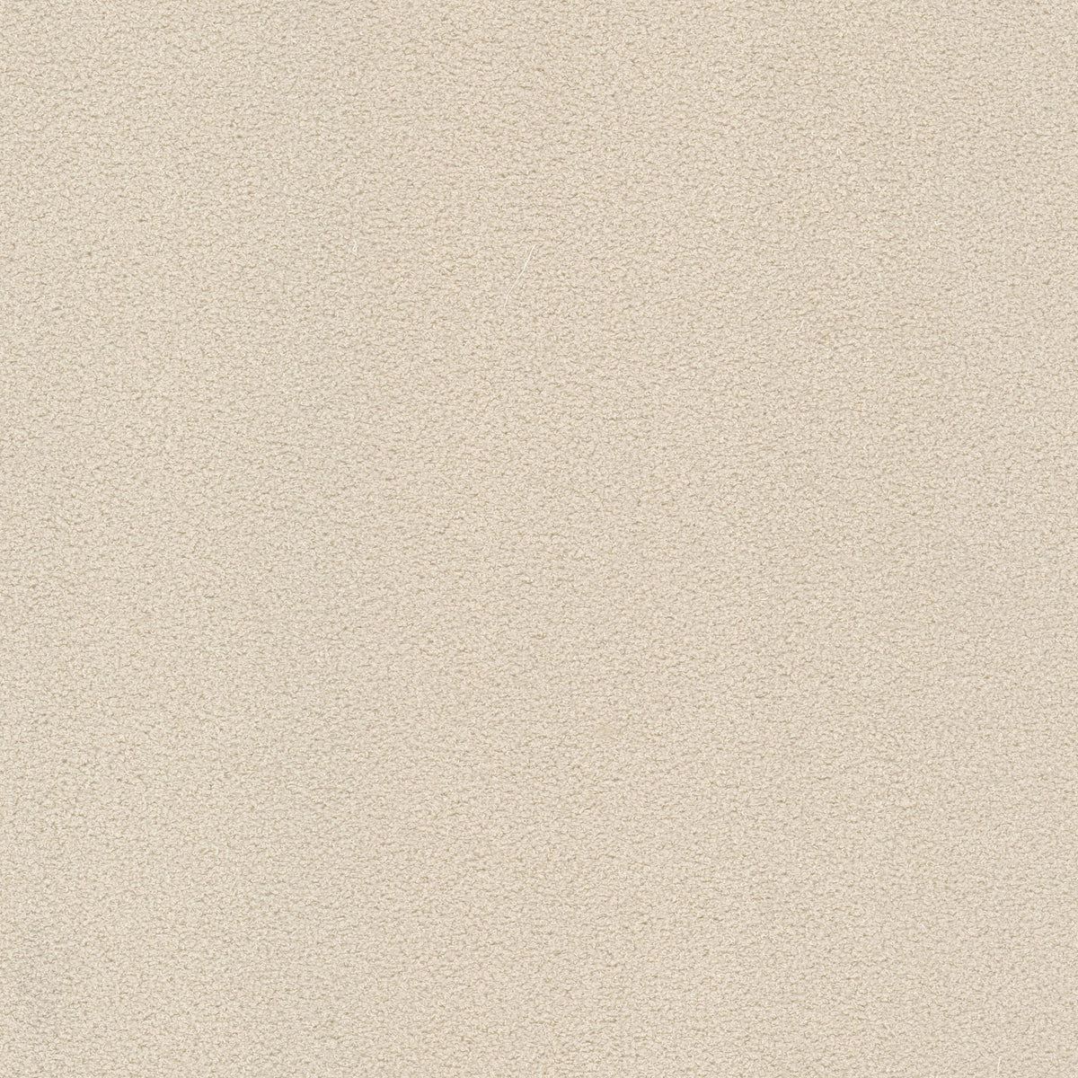 STOUT FINNERTY 2 ECRU Fabric | Atlanta Fabrics