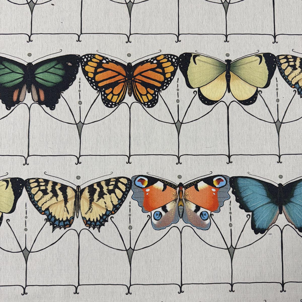 MagFabrics FLUTTER CHROMATIC  | Atlanta Fabrics