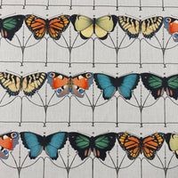 MagFabrics FLUTTER CHROMATIC  | Atlanta Fabrics