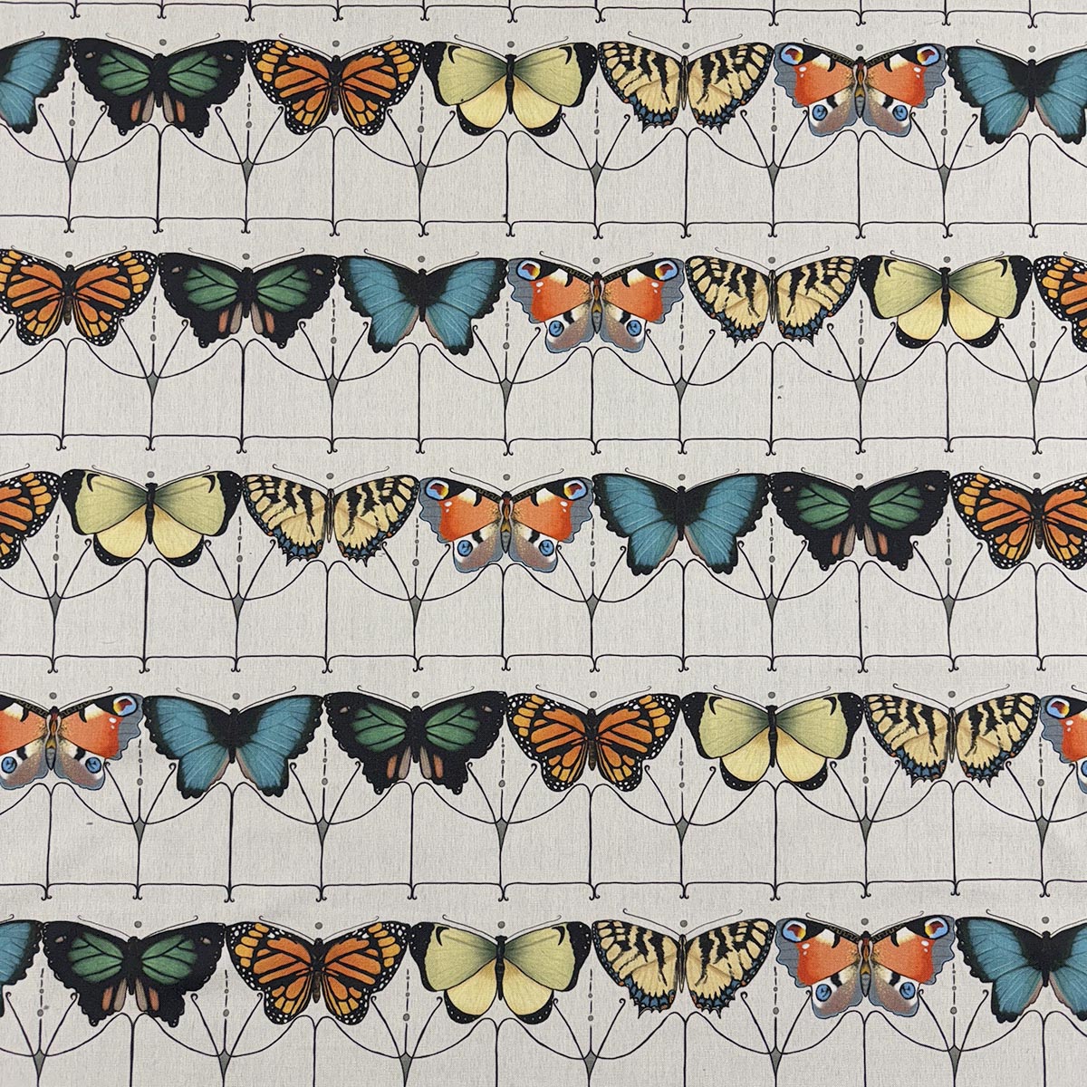 MagFabrics FLUTTER CHROMATIC  | Atlanta Fabrics
