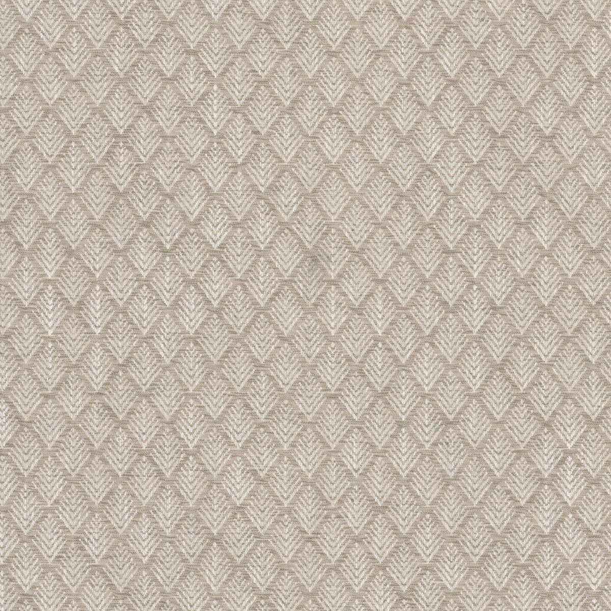 STOUT FRACTAL 1 WHEAT Fabric | Atlanta Fabrics