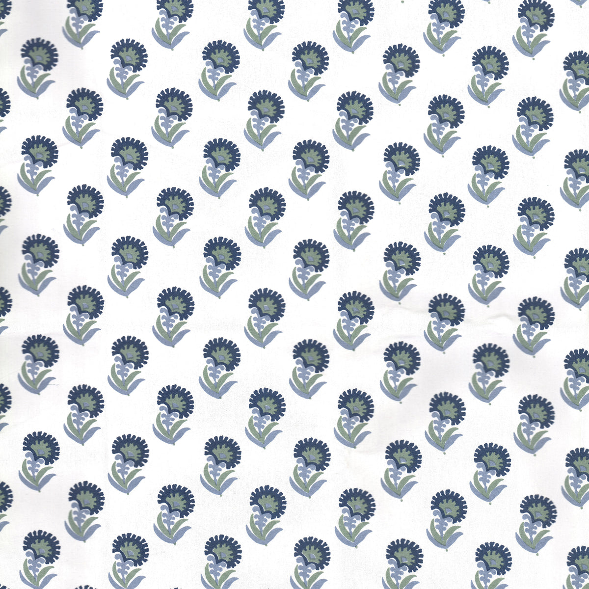 FRESNO 1 PERIWINKLE