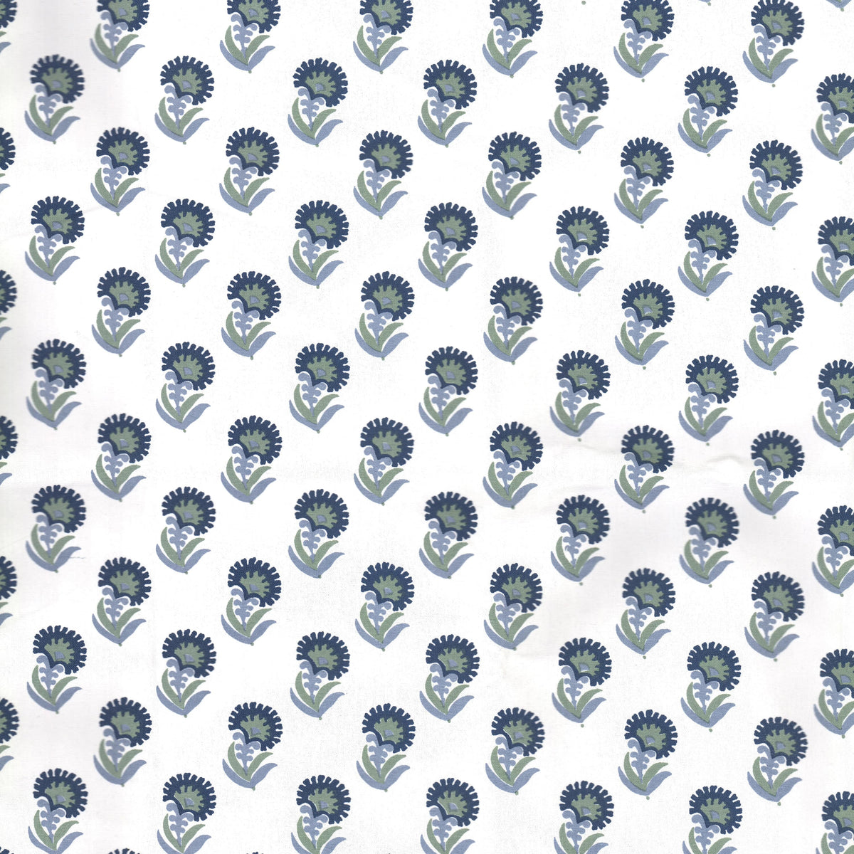FRESNO 1 PERIWINKLE