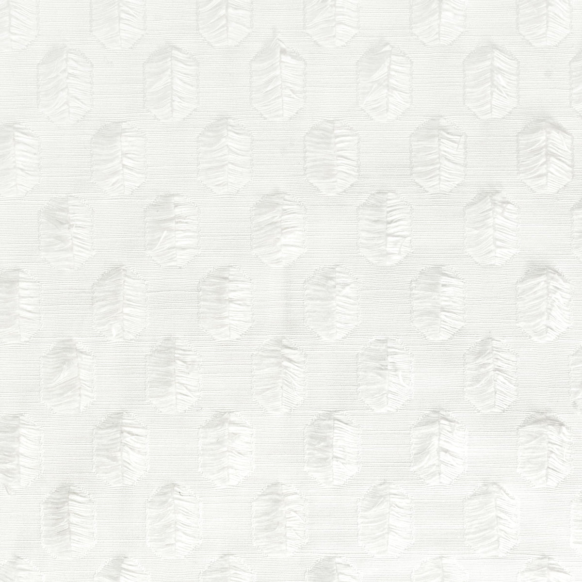 FUNDAMENTAL 3 FROST