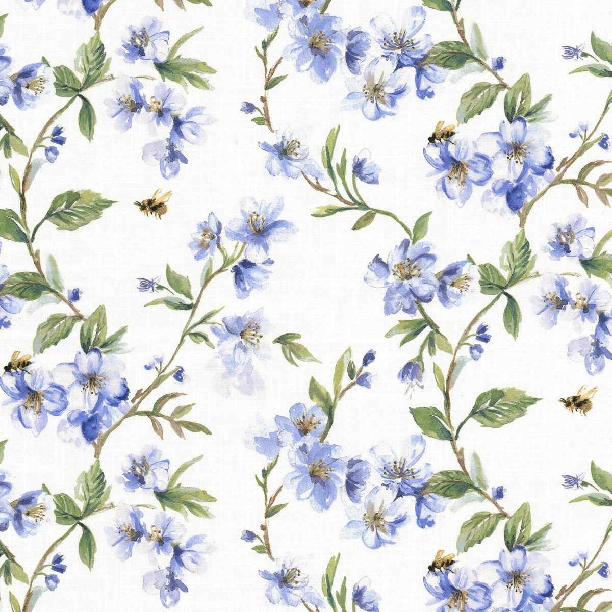 GAVOTTE 2 THISTLE