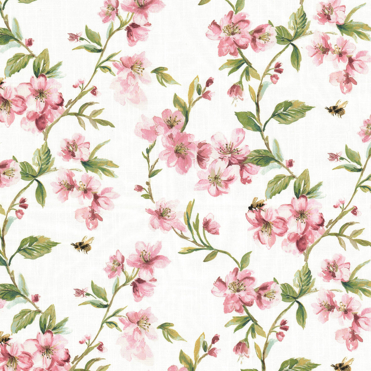 GAVOTTE 3 PEONY