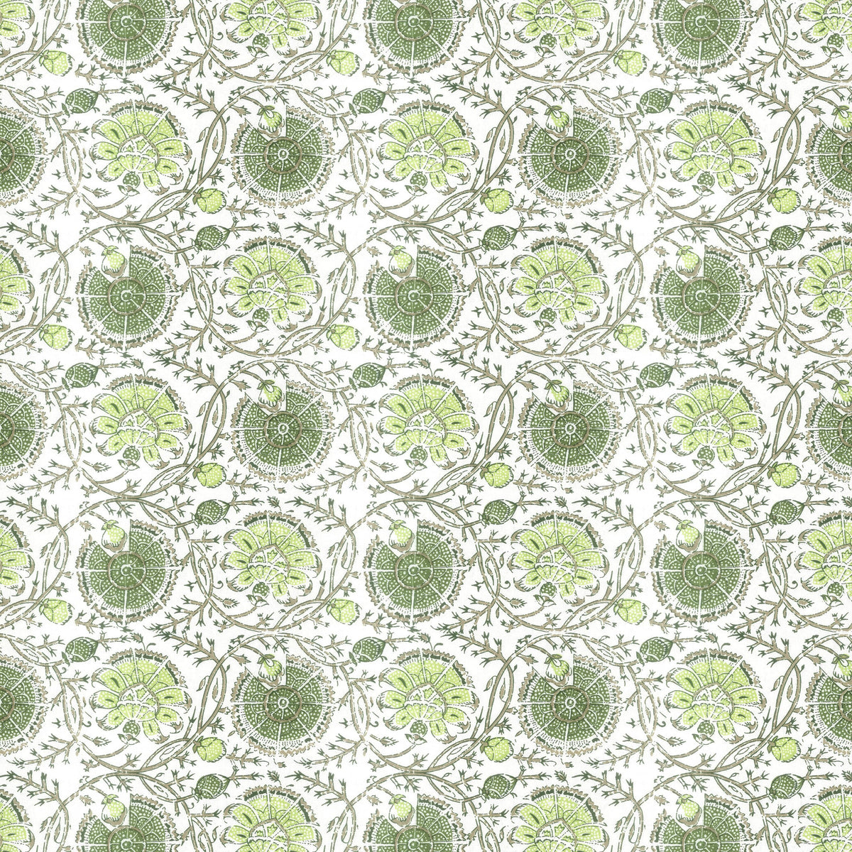 GIBERTINI 3 APPLE