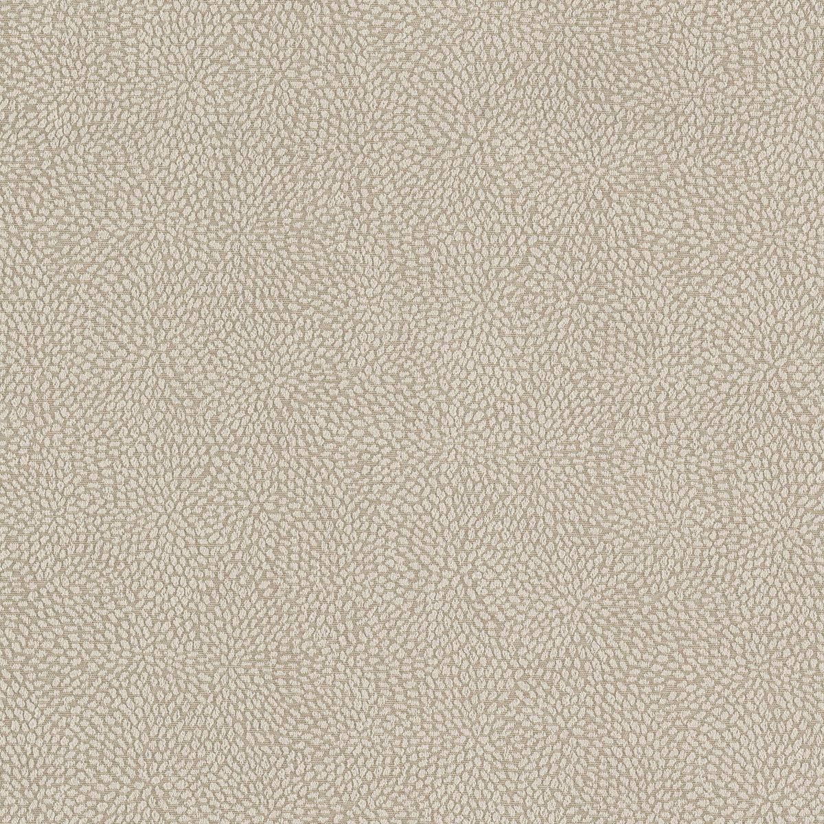 STOUT GROWL 4 OYSTER Fabric | Atlanta Fabrics