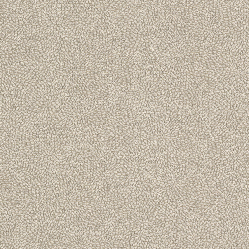 STOUT GROWL 4 OYSTER Fabric | Atlanta Fabrics