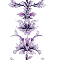 Gresham’s Castle Elderberry