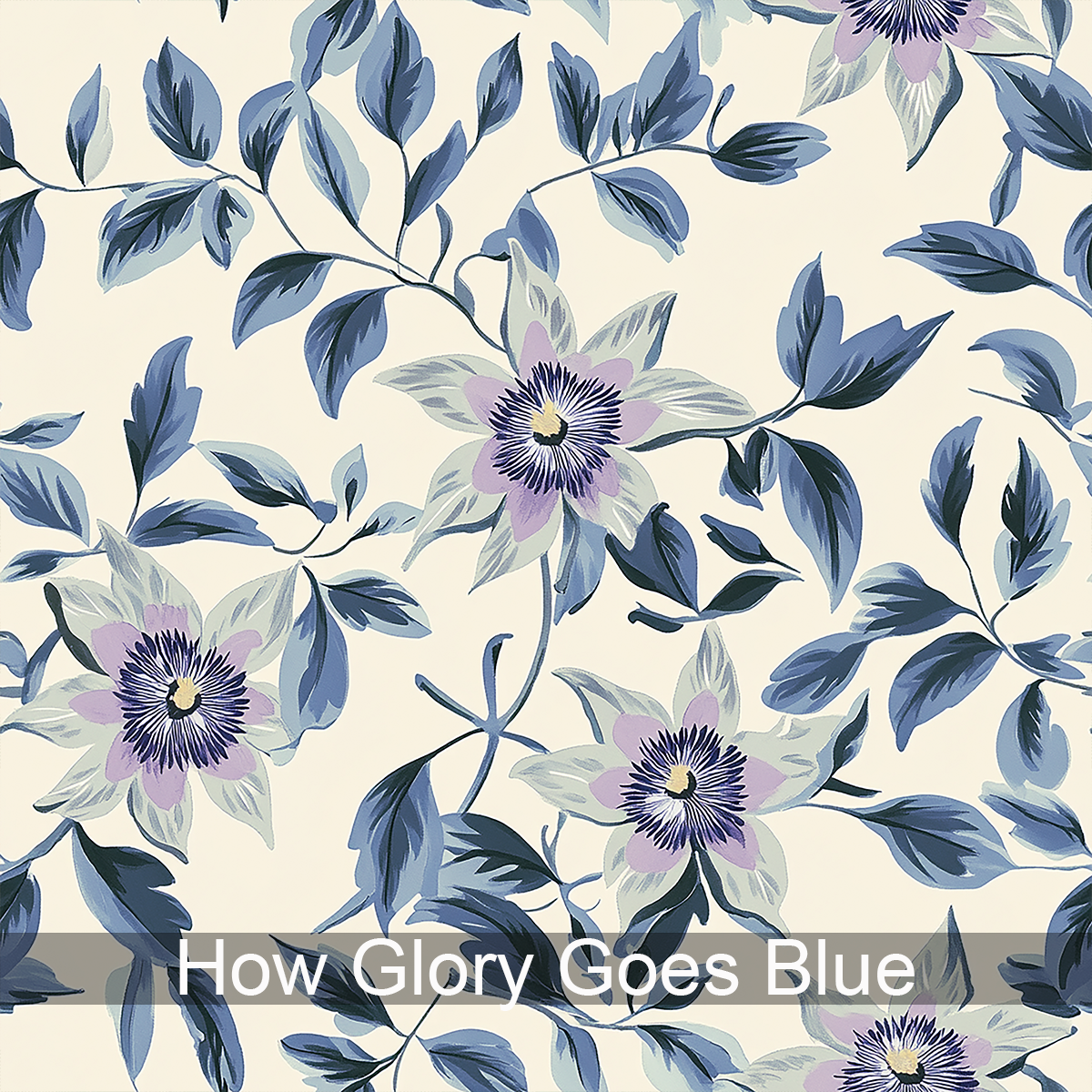 How Glory Goes Pillow Sham