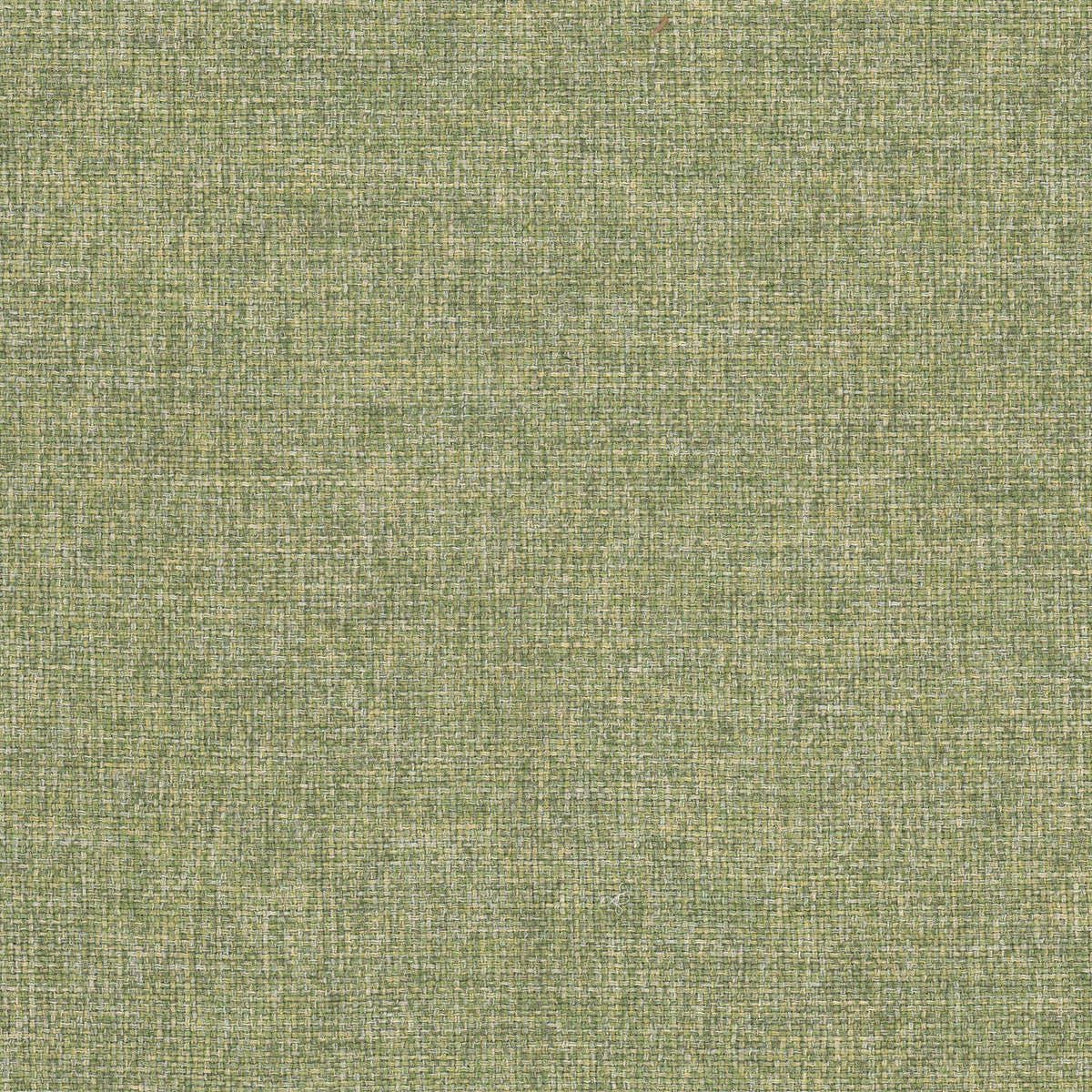 STOUT IMPERIAL 3 SPRING Fabric | Atlanta Fabrics