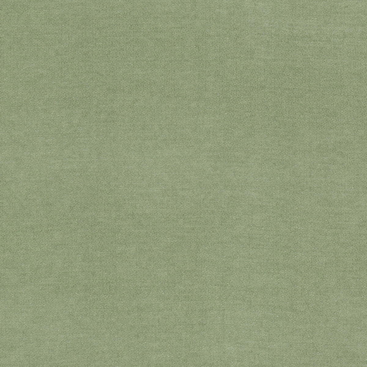 STOUT INEVITABLE 1 CELADON Fabric | Atlanta Fabrics