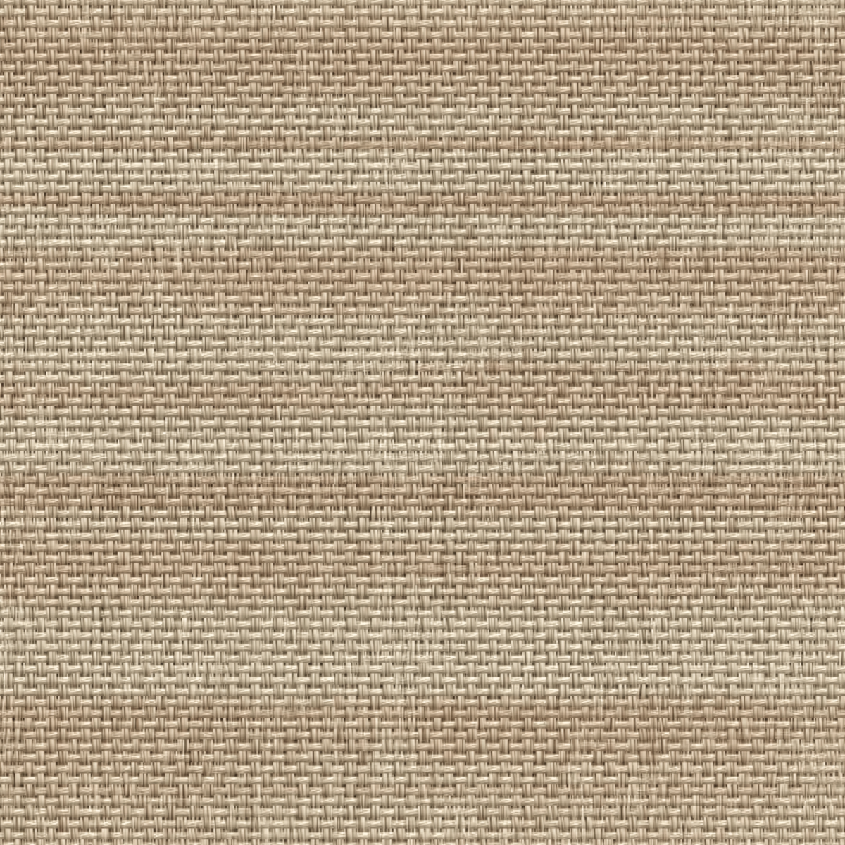 Indiangrass Raffia