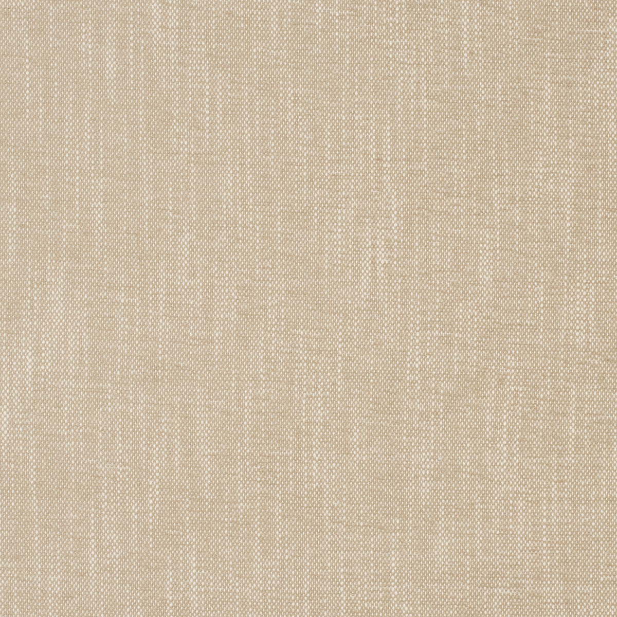 MagFabrics InsideOut LOLLY OYSTER  | Atlanta Fabrics