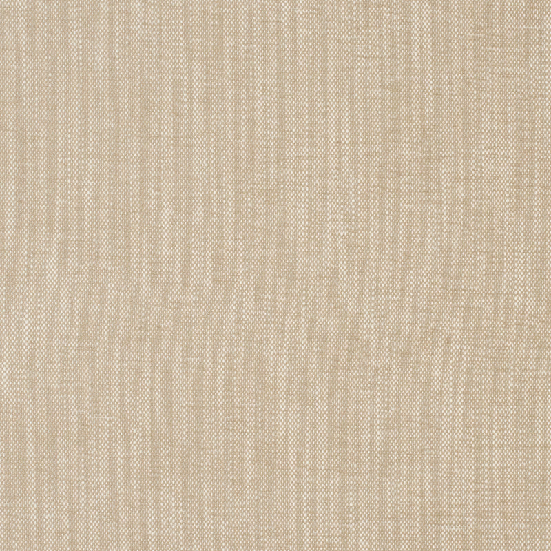 MagFabrics InsideOut LOLLY OYSTER  | Atlanta Fabrics