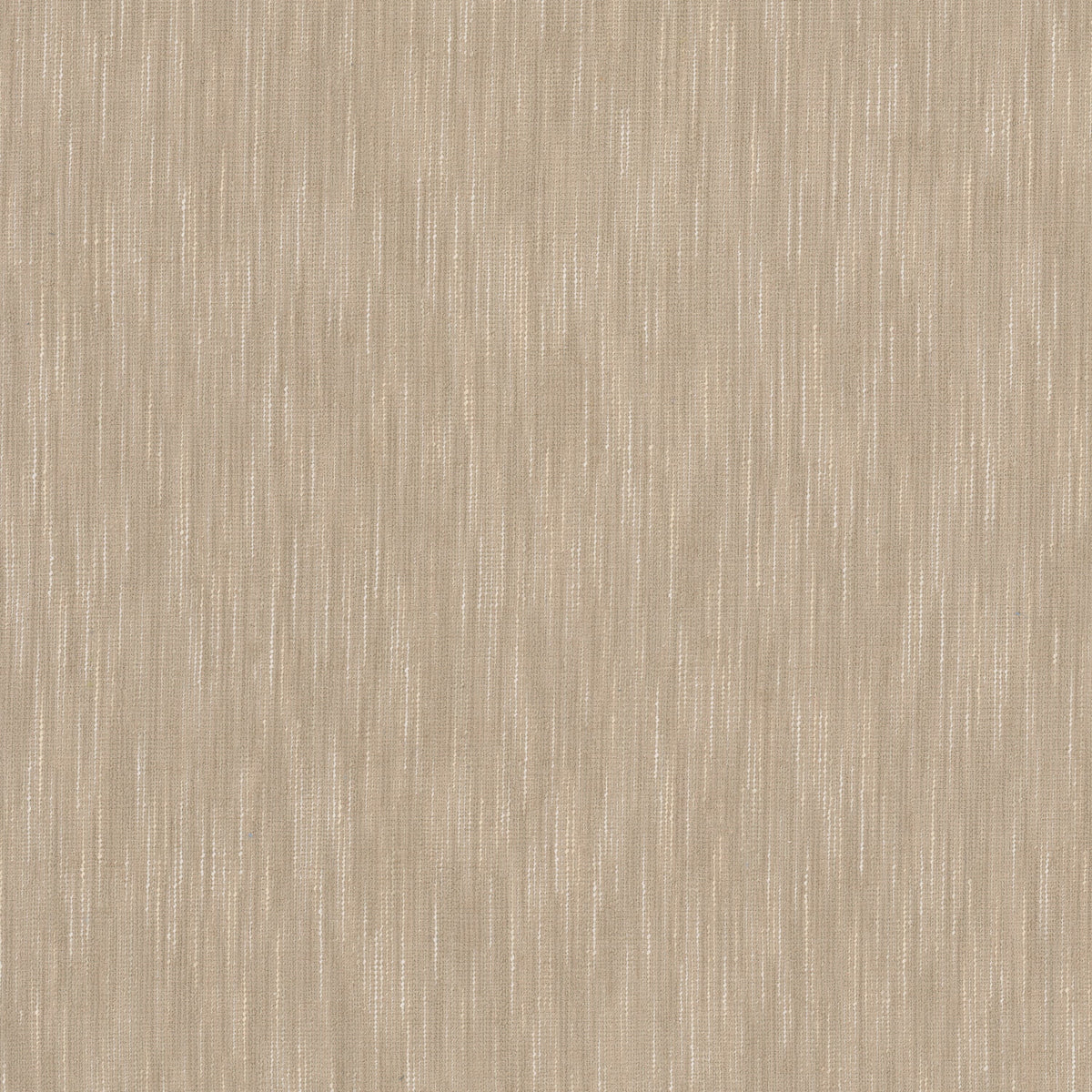 JOCKEY 1 SANDALWOOD