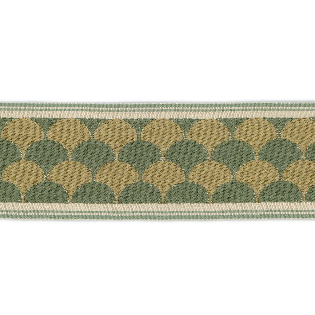 STOUT JOLIE TAPE 3 AVOCADO Trim | Atlanta Fabrics